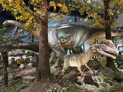 -湖南省地质博物馆