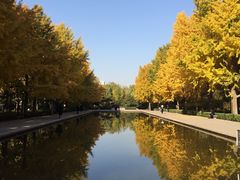-玲珑塔公园