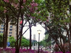 -重庆市江北嘴中央商务区中央公园