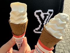 -富豪雪糕车流动点(尖沙咀店)
