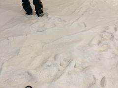 -乔波室内滑雪场