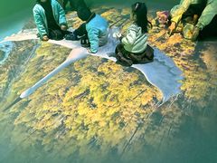 -中国湿地博物馆