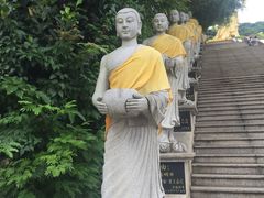 -西双版纳勐泐文化旅游区