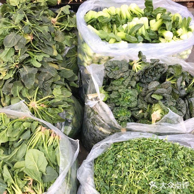 后宰门马路旁的门面店，蔬菜、水果、蛋、奶、豆制品应有