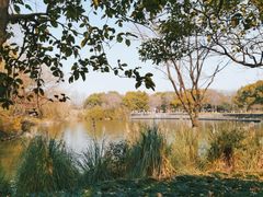 -西溪国家湿地公园