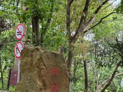 -上海佘山国家森林公园天马山园