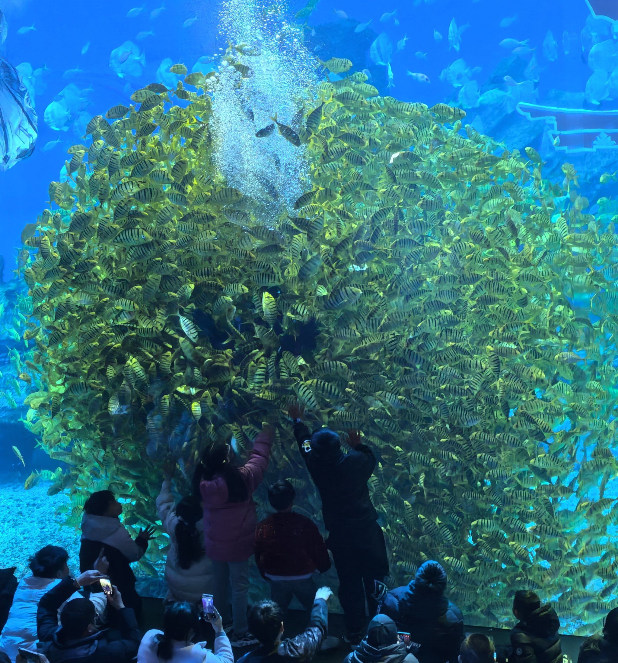 郑州海昌海洋公园