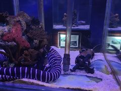 -太平洋海底世界