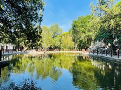-香山公园