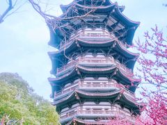 -洋湖国家湿地公园