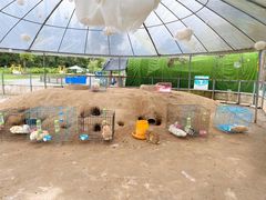 -前小桔亲子创意农场·草莓采摘·露营烧烤