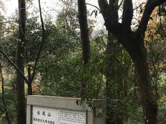 -岳麓山风景名胜区