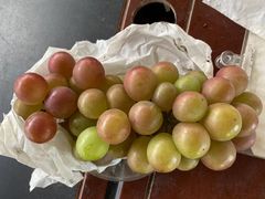 -马陆小张葡萄园农家乐