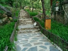 -北京水岸山吧度假村(雁栖镇店)