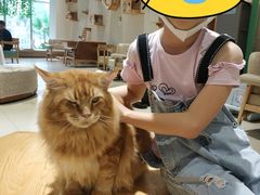 -藏猫猫咖啡主题馆(中央大道店)