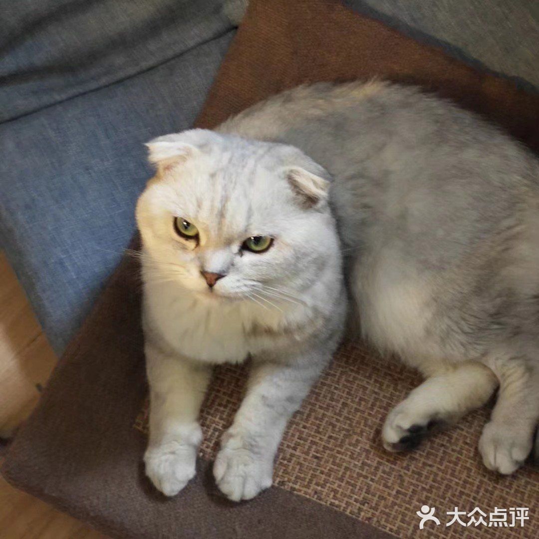 位于小寨东路一又二分之一公寓B座1009 大叔是个爱