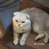 位于小寨东路一又二分之一公寓B座1009 大叔是个爱