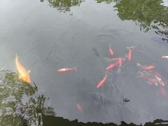 -浮庄