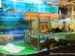 -凤城酒家(红磡店)