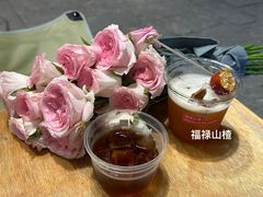 派对动物-大青树咖啡(大理古城店)
