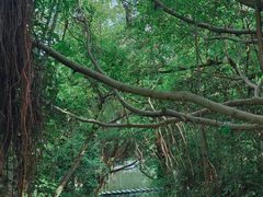 -燕晗山郊野公园
