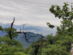 -青城山