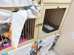 -谐和贝康宠物医院24小时·宠保定点(急重症转诊中心)
