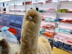 -国药中服免税(北京坊店)