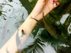 -三亚珠江南田温泉度假区