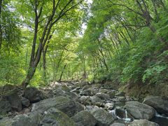 -香炉山国家森林公园
