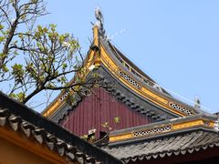 -西园戒幢律寺