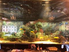 -泰谷酒店·太古码头闽菜自助餐厅