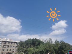 -同福聚新疆大盘鸡(总店)