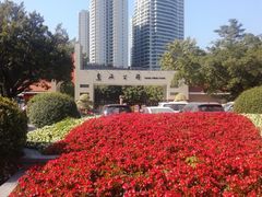 -东风公园