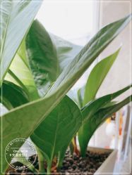 -变画·发型STUDIO