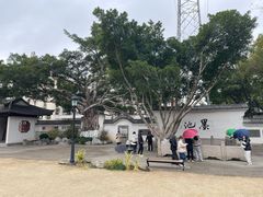 -墨池公园