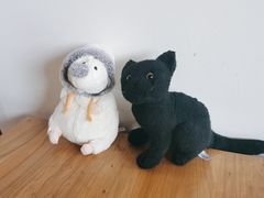 -三忘湖 SWANSEEN(柳荫公园店)