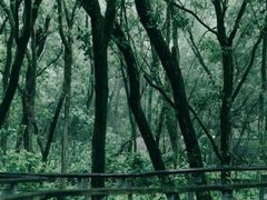 -西湖风景区-江洋畈生态公园