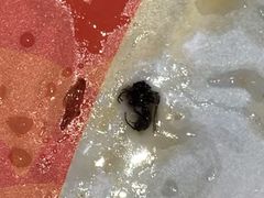 -每味每客·重庆麻辣烫(国泰店)