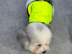 -安琪娜动物医院•健康管理•骨科•急重症诊疗中心
