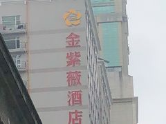 -金紫薇酒店(成都春熙路步行街店)