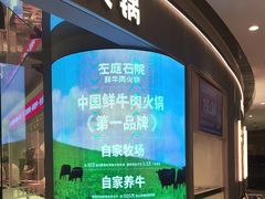 -左庭右院鲜牛肉火锅(新梅广场店)