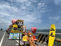 -汕尾风车岛