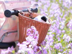 -瀛海足球主题公园