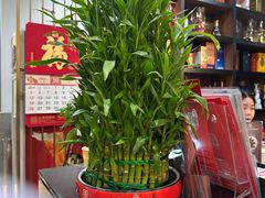 -鹭园酒家·四十年老字号