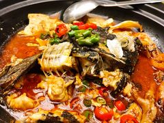 -新天明砂锅鱼头煲