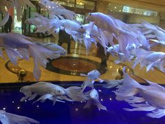 -陇菜和盛祥(金轮宾馆店)
