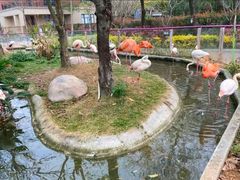 -灵玲国际马戏城
