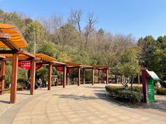 -太子山公园(园东路)