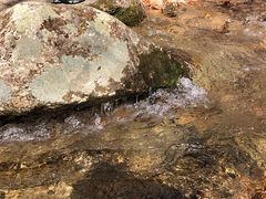-丹东天桥沟景区